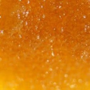 Meet your Posher, Tom